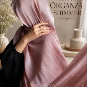 Premium Organza Shimmer Hijabs